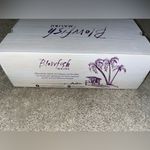 blowfish City Kitty Wonder Star Cheetah Print Stars Frayed Tennis Shoes NEW Sz 7 Photo 10