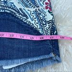 Vintage Havana Paisley / Floral Embroidered Frayed Denim Shorts 25 Photo 4