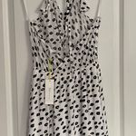 BCBGeneration NWT Black And White Leopard Print Mini Dress Photo 2