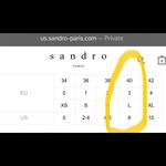 Sandro Cream & Black Silk Pencil Skirt Size 3 Photo 11