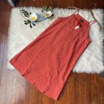 The Limited Clay Terracotta Polka Dot Mini Dress NWT Photo 0