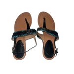 Coach ✨ Ladies Sammy Turquoise Blue Zebra Ankle Strap Sz 9 Sandals✨ Photo 8