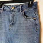 Wild Fable  Mini Jean Skirt Size 4 Photo 2
