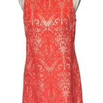 Eliza J Eyelash Lace Overlay Dress Lined Sleeveless Gold Exposed Zipper Sz 6 Photo 0
