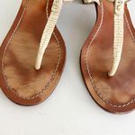 Tory Burch Tan Brown Animal Print Capri Miller Block Heels Photo 1