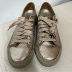 Frye 7M pew low- top lace-up Silver rose blush leather Sneakers Metallic Photo 1