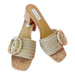 Steve Madden  Brown Multi Slip on Block Heel Sandals(Size 8.5M) Photo 0