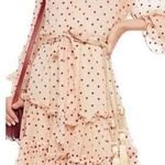 Zimmermann  ladybeetle swing sheer mini dress new nwt polka dot ruffle Photo 0