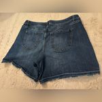 Lane Bryant  girlfriend short in size 20 Photo 6