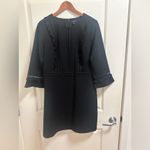 Ann Taylor  Lacy Ruffle Doubleweave Dress Size 12 Photo 3