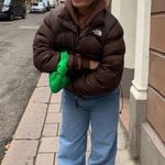 NorthFace 700 Brown Puffer Size M Photo 1