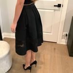 EXPRESS GORGEOUS DRESSY SKIRT π Photo 1