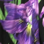 Gucci NWOT floral silk dress Photo 6