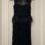 Alice + Olivia  Dress Women Size 0 Black lace with feathers Sleeveless Photo 0