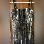Maner Black and White Striped Dress Photo 2