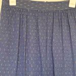 J.Crew  Womens Skirt Sz 2 Gold thread Blue Lined Semi Sheer Knee-Length Coastal Photo 3