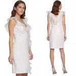 DKNY Sheath Dress with Frothy Organza Ruffles in Ivory, Size 6 New w/Tag $199 Photo 1