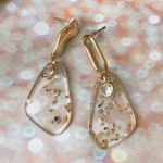 Gold Shell Bits Transparent Earrings Photo 1