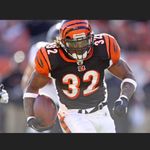 NFL  Cincinnati Bengals jersey Photo 0