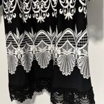 White Mark XL Black White Dress 3/4 Statement Bell Sleeve Lace Trim Boho Glam Photo 5