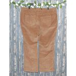 Woman Within  Women's Brown Corduroy Pants Plus Size 24W Stretch Straight Leg Photo 3