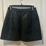 Free People Leather Skirt Photo 1