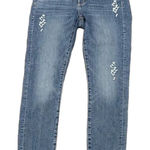 Loft ANN TAYLOR  EMBROIDERED MODERN SKINNY ANKLE JEANS, 2 (26) Photo 0