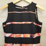 Dress Barn {6}  Colorblock Floral Dress Women's Photo 2