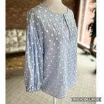 ZARA  Blue Embroidered Polka Dot Balloon Sleeve Top XS Photo 11
