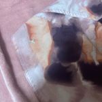 Old Navy  Active-M Photo 5