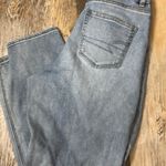 American Eagle Outfitters Curvy Mom Jeans Blue Size 2 Photo 4