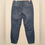 Judy Blue  Woman’s Blue Casual Plus Size Skinny Jeans Size 14W Photo 3