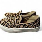 Steve Madden Leopard Knit Platform Slip-On | Size 8 | Comfy & Chic Sneakers 🐆 Photo 7