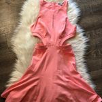 Zac Posen Zac  Megan Pink Cutout Fit & Flare Dress Photo 1