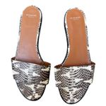 Givenchy  Paris Snakeskin Leather Slide Sandals Brown Ivory Size 39 Photo 1