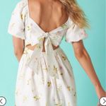 Francesca's Miami Francesca’s Floral Tie Back Mini Dress Photo 3