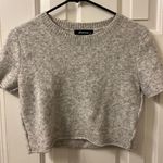 Olivaceous Oliviaceous Top Photo 0