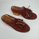 Toms Tom’s clogs size 7 Photo 1