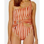 Vince Camuto New. stripe swimsuit. MSRP $139. Size 6 Photo 4