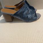 Vero Cuoio  Navy Velvet Mules Photo 1