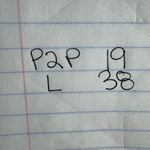 Chico's  Dress Women 4 NWT Very Cherry Balloon Hem Tapestry Floral Pocket Modest Photo 7