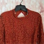 Endless Rose Rust Brown Lace Open Back Flare Sleeve Bodysuit Size XS Photo 3