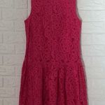 CeCe ‎ magenta lace drop waist sleeveless dress Photo 1