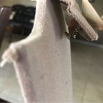 Vintage Shell Faux Pearl Screwback Earrings Photo 2