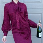 Michael Kors Designer Holiday Dress Photo 1