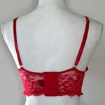 Daisy Fuentes Red Lace Bustier Photo 3