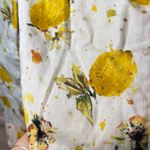 Pilcro and the Letterpress  by Anthropologie watercolor lemon jeans Photo 3