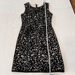 Milly  Black Lace Overlay Sleeveless Dress Size‎ 2 Photo 6