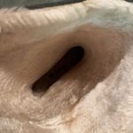 Tretorn  Women's Black Rain Wellies Photo 5