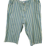 Vintage Copacabana petites size 22 striped Bermuda shorts Blue Photo 0